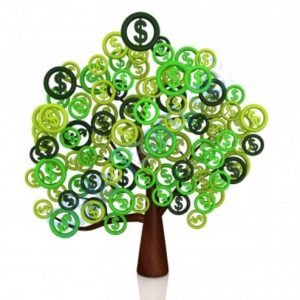 money-tree-300×300