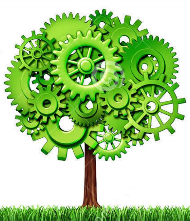 startup-tree-4